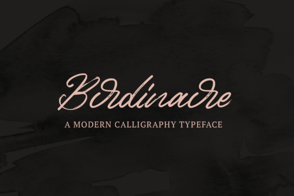 Birdinaire: A Vintage Script Font