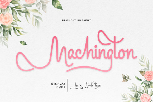 Machington: A Delicate Script Font
