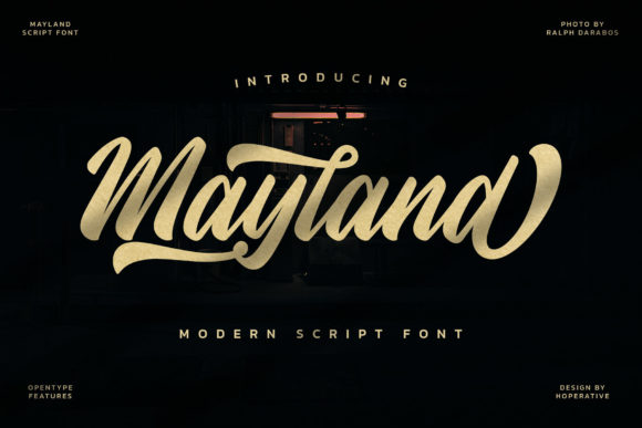 Mayland Font: Bold Handwritten Style for Web Design