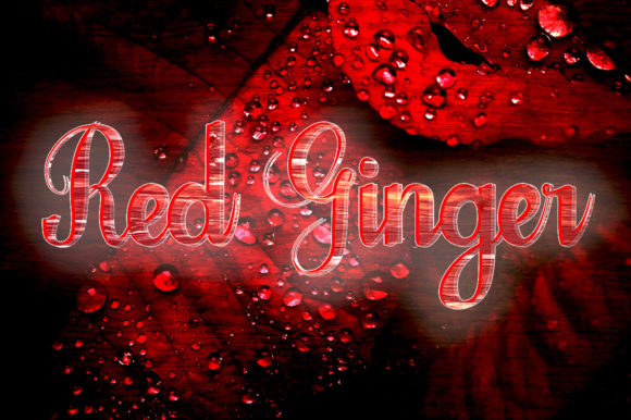 Red Ginger: A Handwritten Font for Web Design